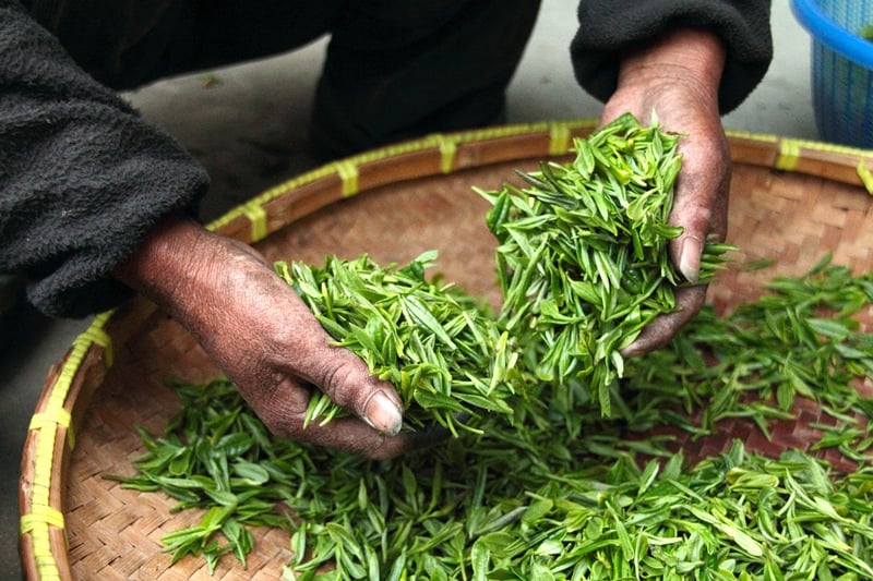 Magical Harvesting