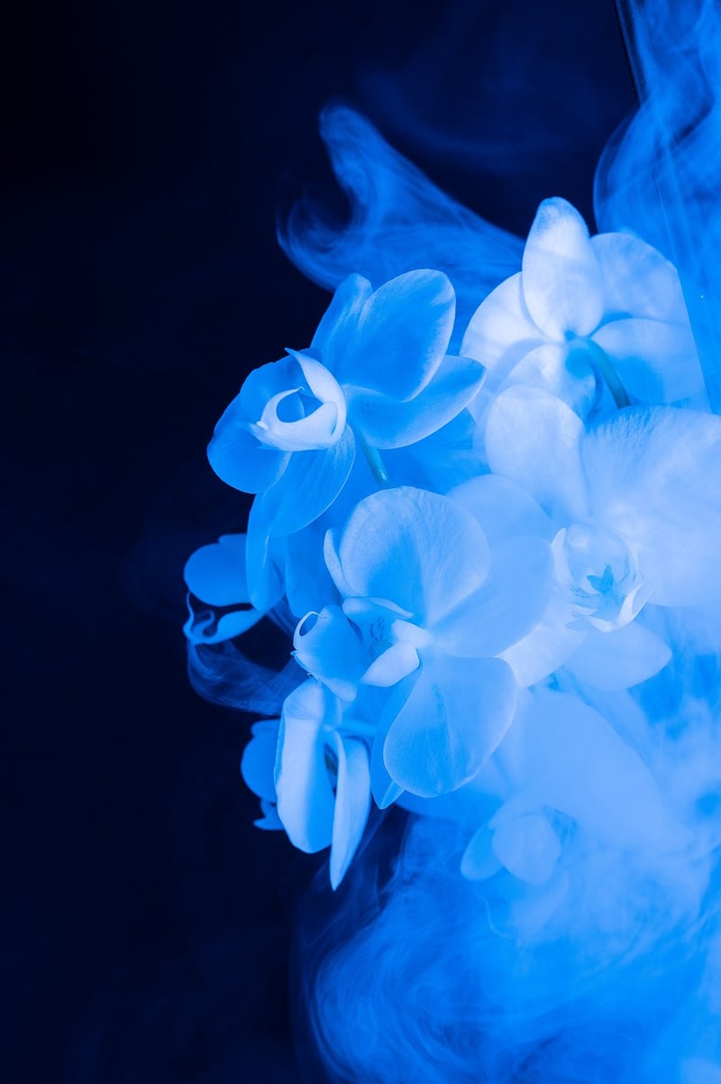 Mystical Flowers