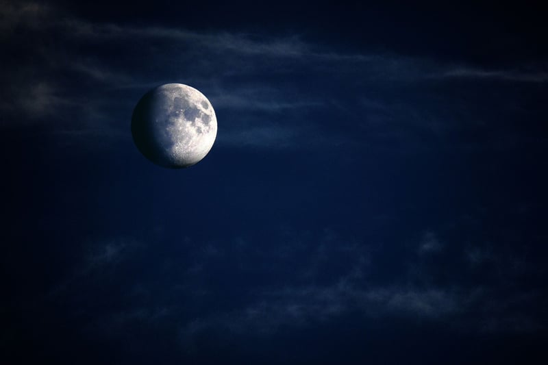 Moonflower